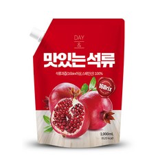 데이앤 맛있는 석류, 1개, 1L