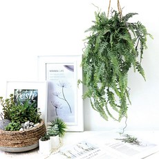 Garden in the City Funvine 懸掛籃裝飾品, It 綠色, 1個