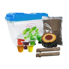 Rora Pet 昆蟲飼養套裝 L, 隨機出貨, 1套