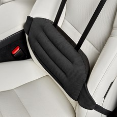 Ez2mk 높이조절 고정형 차량용 등받이쿠션 MS-920, 블랙, 1개