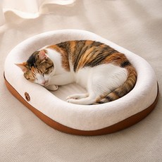 둥둥펫 고양이 쿨쿨 베드 펠트 스크래쳐 침대, 혼합색상, 1개