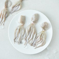 the푸짐한 손질 항공직송 주꾸미 (냉장), 1개, 300g
