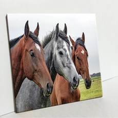 UDP 磁磚相框 A型 1414889, 白色素面磁磚背景