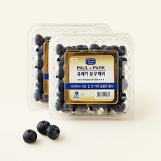 에스피프레시 칠레산 점보 유레카 블루베리, 2개, 125g