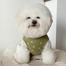 바이담수미 반려동물 위드 플라워 나시, 카키, 1개