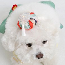 이츠독 반려동물 만두 배씨댕기 고무줄, 민트색동, 1개