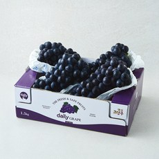 데일리 상주 캠벨포도, 1개, 1.5kg