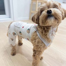 JUBICO 狗狗蘋果熊連身衣, 1個, 象牙白