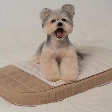 RITOGATO 狗狗 Honey Bunny 寵物推車棉坐墊 M, 1個, 棕色