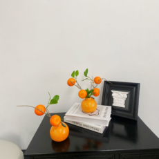 恩熙魔法 堅固亮點花瓶 漢拏橘 2件組, 混合顏色