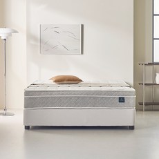 웰퍼니쳐 허리엔 이즈코어 스프링 매트리스 방문설치, 25cm, 미디엄