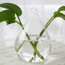 ZY 수경재배 미니화분 물방울, 1개
