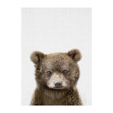 寶寶動物寫實配電箱插畫布海報 熊