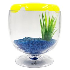 時尚 Beta 酒缸魚缸套組, 寶藍（魚缸），隨機發貨（水草）