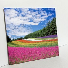 UDP 瓷磚相框 A型 250016, 單色