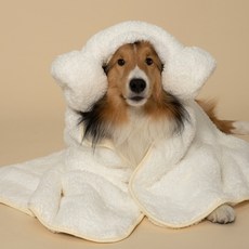 도그아이 반려동물 극세사 자이언트 타올 2종 세트, 1세트