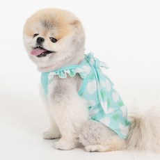 강아지 스루 원피스 OP7854, 민트, 1개