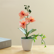 소울리치 러블리한 호접란 조화 세트, 스타일1, 1세트