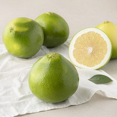 다조은 미국 메로골드 자몽, 2.5kg, 1개