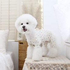 ITS DOG 植物園寵物連身衣, 混合色
