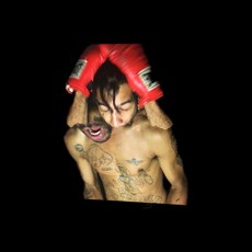 Velvet Negroni : Bulli, 1CD