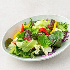 All바른농장 오리지널 패밀리 믹스 샐러드, 350g, 1개