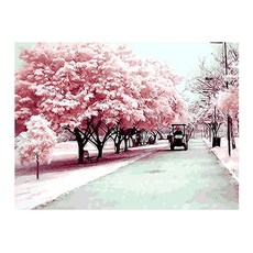 Popn 油畫 40 x 50 cm, 櫻花路