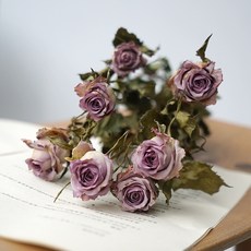 GAPANG 乾花和諧No.09, 紫色的