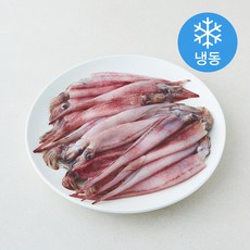 The더착한 한치 화살오징어 (냉동), 1개, 900g(대/15cm이상)