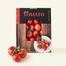 광식이농장 줄기째 수확해 더 신선한 토마토, 1개, 3kg
