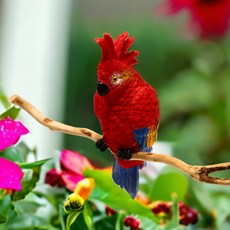 미미네아쿠아 수조 걸이식 앵무새 피규어 파랑무늬, 2개