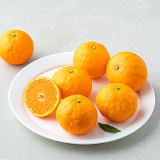 홀푸드제주 수라향, 1개, 1kg