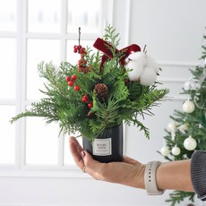 모리앤 겨울의 따뜻한 숨결 크리스마스 생화 센터피스 화분 + 쇼핑백, 혼합색상, 1개