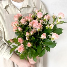 코코도르팜 생화 미니 장미 햇살 5대, 핑크 + 화이트 + 그린