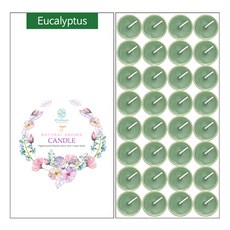 Olebien 香氛小蠟燭 15g x 32入, 1個, 尤加利