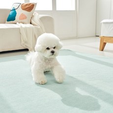 Jellan House 羅曼史 易清潔雪尼爾地毯