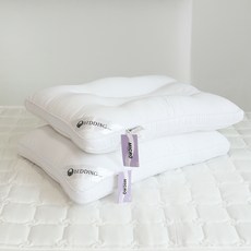 아토앤알로 빨아쓰는 호텔식 마이크로화이바 항균 경추 베개솜, 2개
