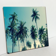 HTP 瓷磚 C495 椰子樹, 燒製瓷磚, 1個