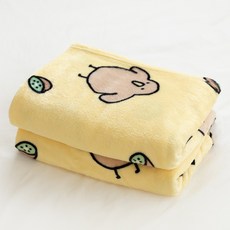 키위새 무릎담요