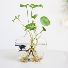 ZY 수경재배 미니화분 벚꽃, 2개