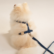 Hitjji 頸部扣環狗狗胸背帶, 深海軍藍