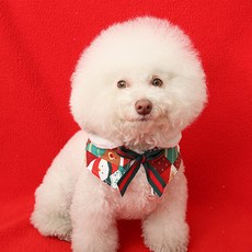 ITS DOG 寵物聖誕老人披風, 1個, 混合色