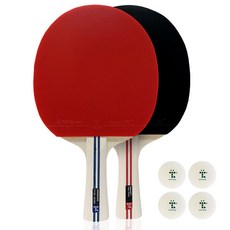 TMOUNT Smashing負手桌球拍組 TTSC-3500