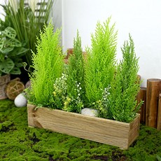 Garden in the City 裝飾花盆, 混色