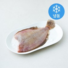 제주 가자미 (냉동), 1개, 400g