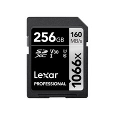 렉사 Professional 1066X SDXC UHS-I Cards, 256GB, 1개