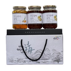 Leegojang food 綜合蜂蜜果醬茶禮盒組, 生薑白蜜 500g 2罐+桔梗蜜 500g, 1組