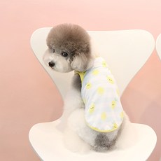 이츠독 반려동물 새콤달콤 쿨링 나시티, 래몬, S, 레몬, 1개