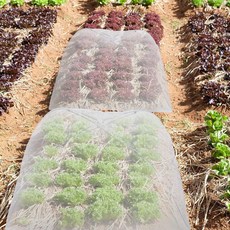 로커스 촘촘한 메쉬 식물커버 화이트 70cm, 1개