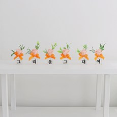 노블리 글라스 러블리 소품화병 6p, 피치, 1개